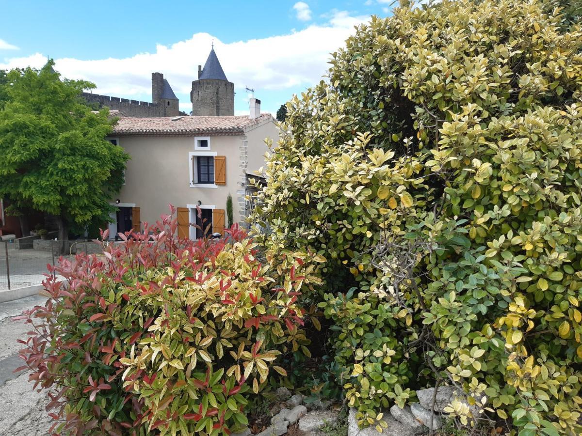 Domaine Fontgrande Gite Carcassonne Exterior foto