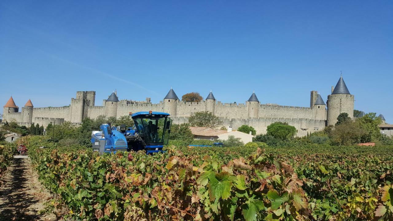 Domaine Fontgrande Gite Carcassonne Exterior foto