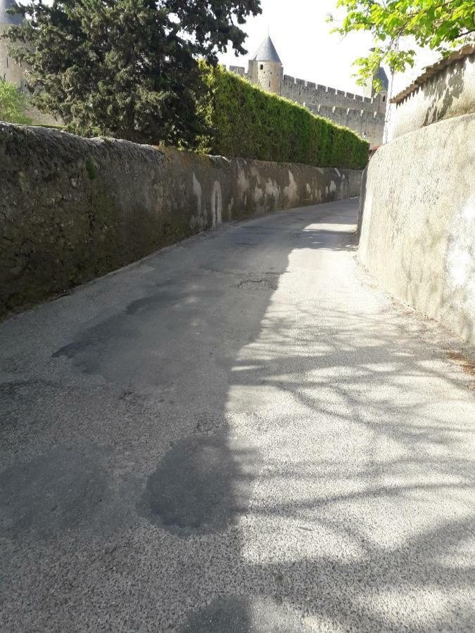 Domaine Fontgrande Gite Carcassonne Exterior foto