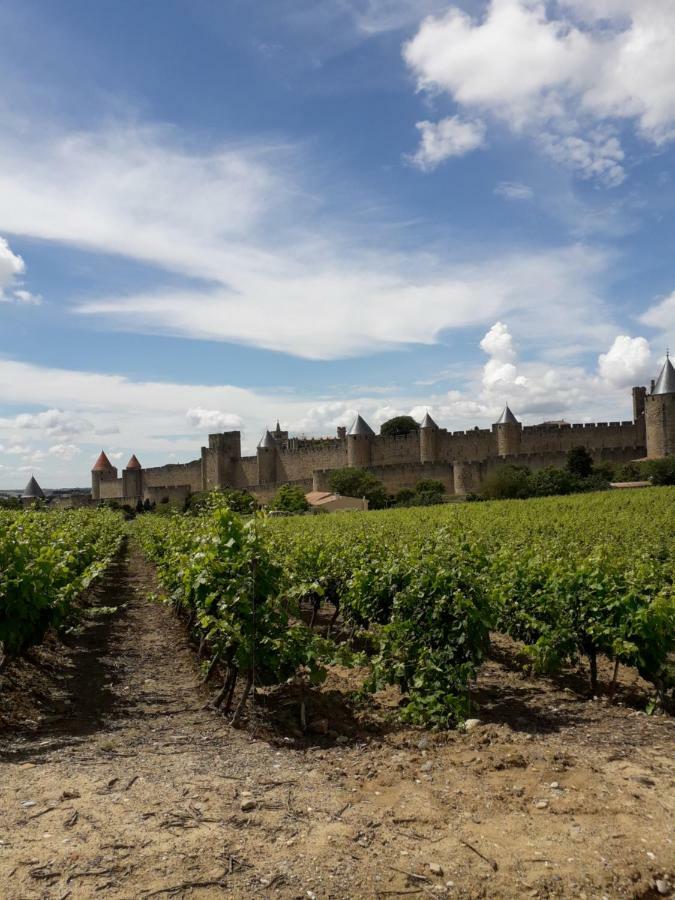 Domaine Fontgrande Gite Carcassonne Exterior foto